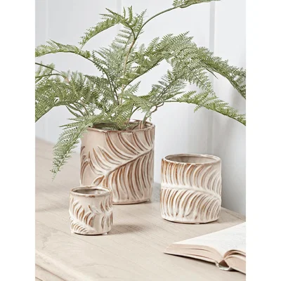 Cox and Cox NEW Three Palm Leaf Planters