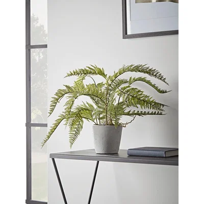 Cox and Cox Faux Potted Bracken Fern