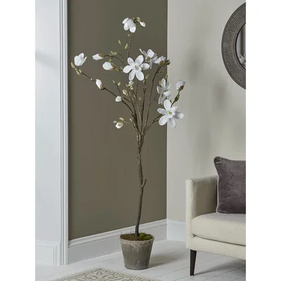 Cox and Cox Faux Potted Magnolia Tree