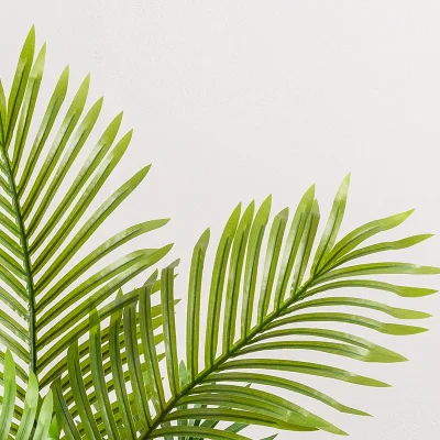 Christow Artificial Areca Palm Tree - 2-6ft