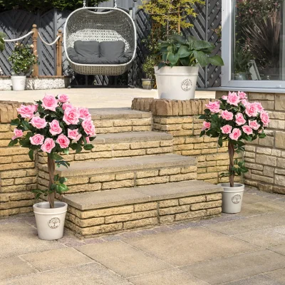 Christow Artificial Pink Rose Trees - Pair - 3ft & 4ft