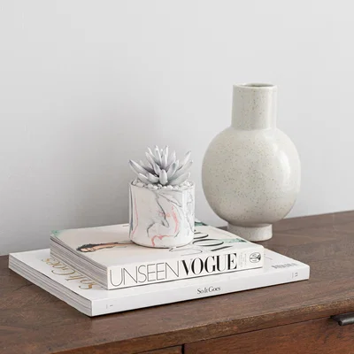 Dunelm Artificial Succulent in Pink/Grey Marble Effect Pot Pink