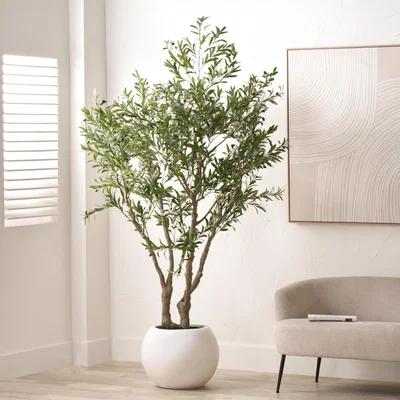 Dunelm Artificial Extra Large Olive Tree in Rounded White Plant Pot