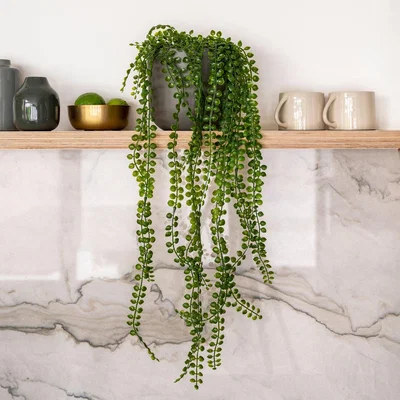 Dunelm Artificial Hanging Ficus Pumila Plant Green