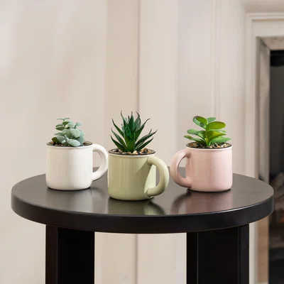 Dunelm Set of 3 Artificial Succulents in Mugs