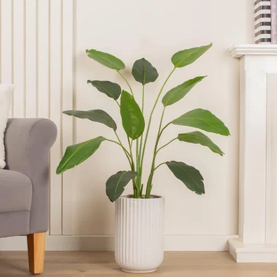 Dunelm Artificial Banana Palm Tree in White Ceramic Plant Pot Green