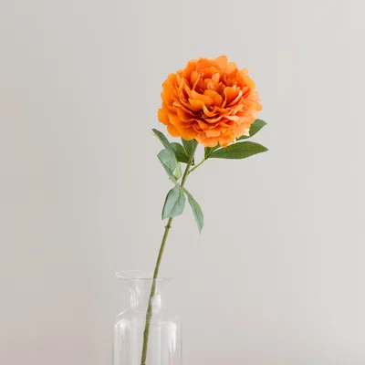 Dunelm Orange Peony Stem