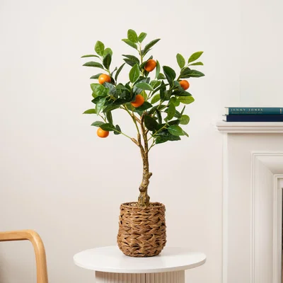 Dunelm Artificial Orange Tree in Woven Basket