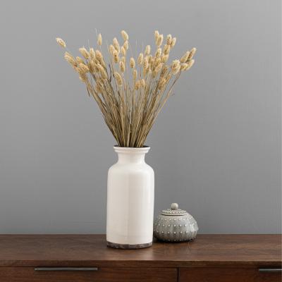 Dunelm Natural Dried Phalaris Bundle Natural