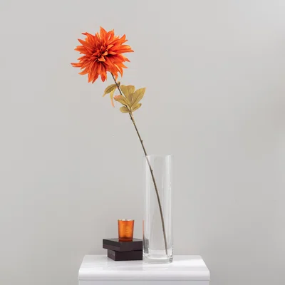 Dunelm Dahlia Orange Stem 80cm Orange
