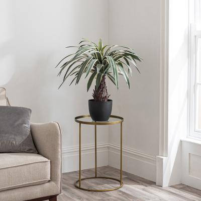 Dunelm Dracaena Plant 80cm Green Green