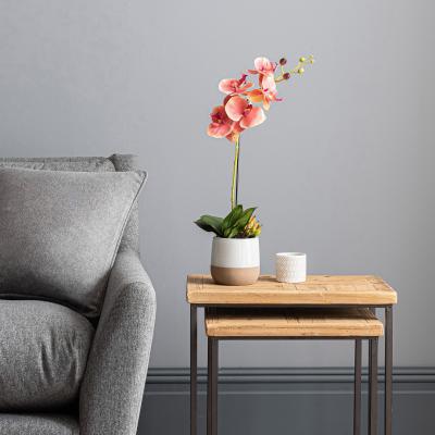 Dunelm Pink Orchid in Ceramic Pot 50cm Pink