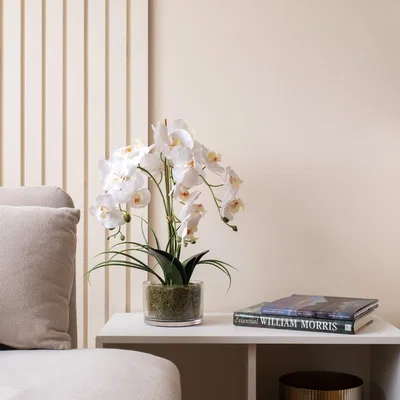 Dunelm Artificial White Orchid in Glass Plant Pot White