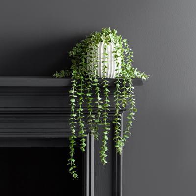 Dunelm Trailing Eucalyptus in Textured Pot Green