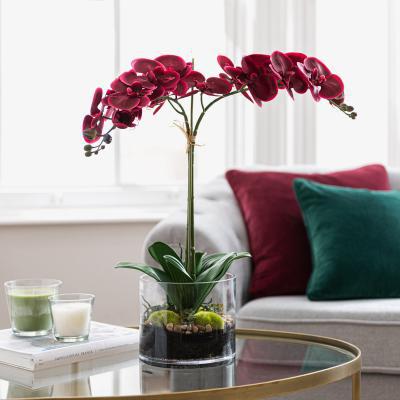 Dunelm Dorma Artificial Orchid in Vase 57cm Pink