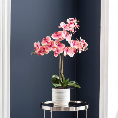 Dunelm Triple Pink Orchid in Ceramic Pot Pink