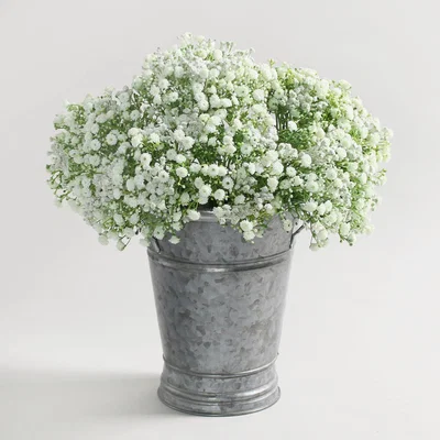 Dunelm 6pk Artificial Gypsophila Cream Bundle 28cm Cream