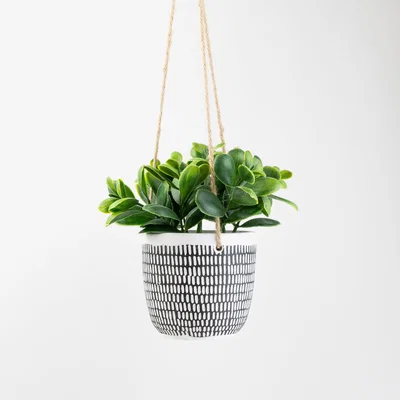 Dunelm Hanging Plant in Cement Pot Black/white