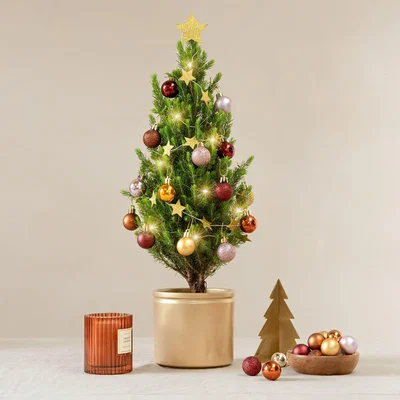 Dunelm Mini Christmas Tree with Copper and Gold Decorations in Ceramic Pot Gold
