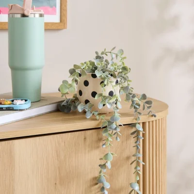 Dunelm Artificial Trailing Eucalyptus in Polka Dot Ceramic Plant Pot