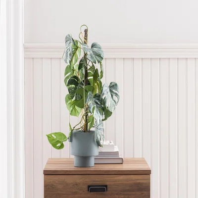 Dunelm Artificial Climbing Variegated Monstera in Pacific Pot Green