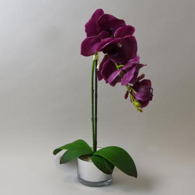 Dunelm Purple Orchid in Silver Glass Pot 48cm Purple, Green and Silver