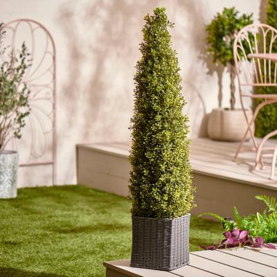 Dunelm Boxwood Cone Tree in Wicker Basket 120cm Green