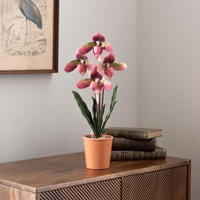 Dunelm Real Touch Slipper Orchid 45cm Brown