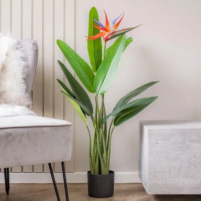 Dunelm 100cm Bird of Paradise with Flower Green