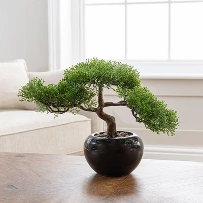 Dunelm Artificial Bonsai Tree Green in Pot 27cm Green