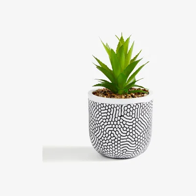 Dunelm Artificial Succulent in Black and White Dotted Pot Black and white