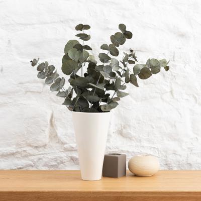 Dunelm Preserved Eucalyptus Syneria Bundle Green