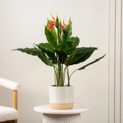 Dunelm Artificial Bird of Paradise Tree with Flowers