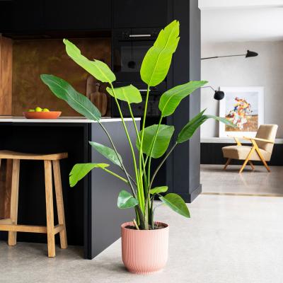 Dunelm Artificial Bird of Paradise Plant Green