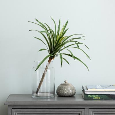Dunelm Variegated Yucca Stem Green