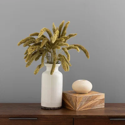 Dunelm Dried Setaria Macrostachia 50cm Natural Bundle Natural
