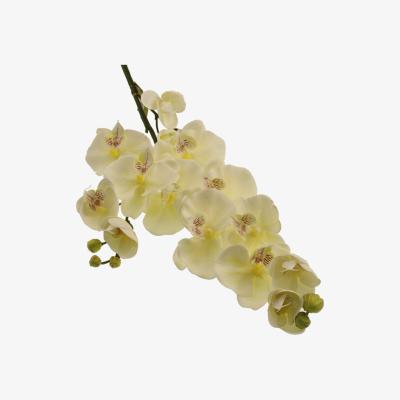 Dunelm Pack of 3 Cream Real Touch 100cm Orchid Spray Cream