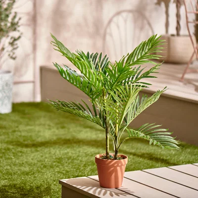 Dunelm Fern in Terracotta Pot Green