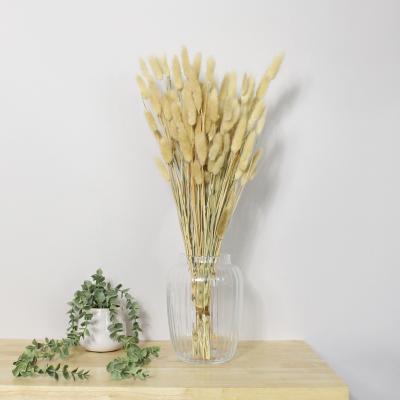 Dunelm Natural Dried Lagurus Bundle 80g Natural