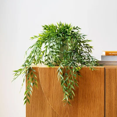 Dunelm Artificial Hanging Bamboo Plant Green