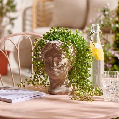Dunelm Facial Planter with Artificial Succulents Green