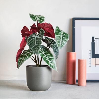 Dunelm Artificial Alocasia Polly Green