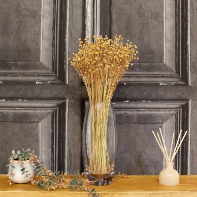 Dunelm Natural Dried Linum Bundle Undyed Natural