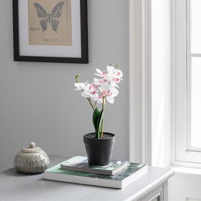 Dunelm Artificial Orchid in Black Pot 30cm Green