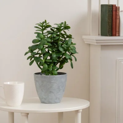 Dunelm Artificial Jade Plant In Grey Plant Pot