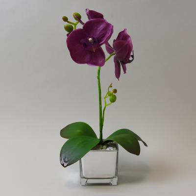 Dunelm Plum Orchid in Silver Glass Pot 34cm Purple, Green and Silver