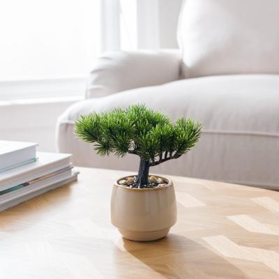 Dunelm Artificial Bonsai Tree in Ceramic Plant Pot