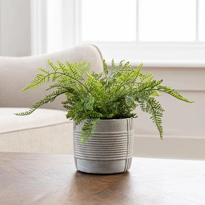 Dunelm Artificial Fern Green in Concrete Pot 23cm Green