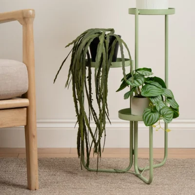 Dunelm Artificial Trailing Rhipsalis in Black Plant Pot