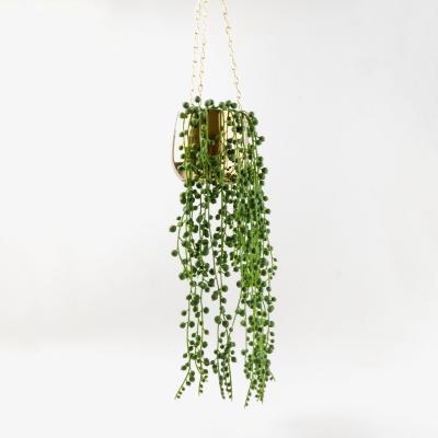 Dunelm Trailing Plant in Ceramic Pot Gold